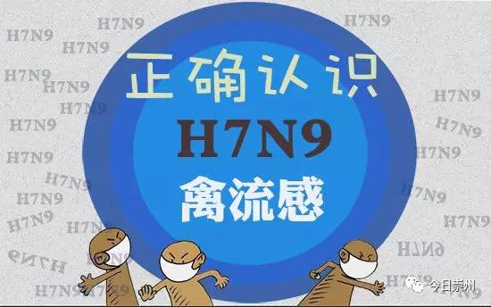 H7N9最新消息，全面解析2017年禽流感现状