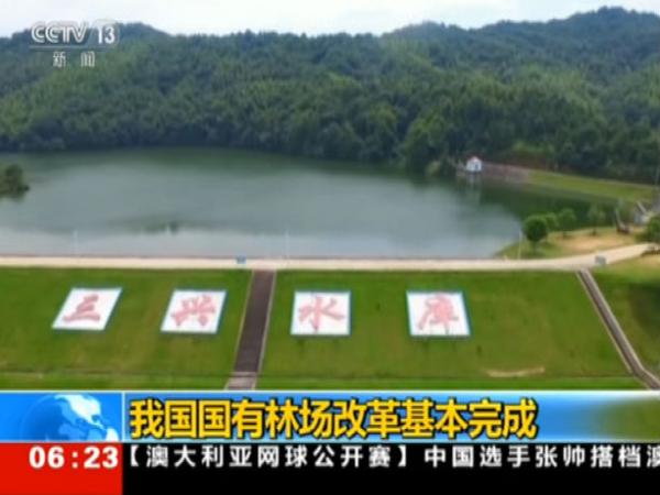 湖北省国有林场改革最新动态报道