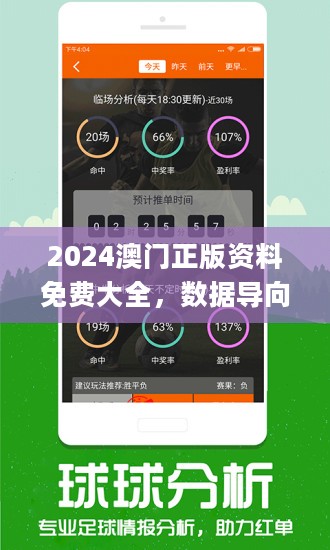 新澳正版全年免费资料公开|精选解释解析落实