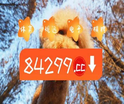 聚焦 第927页