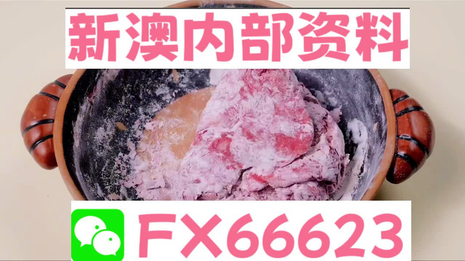 新澳门内部一码精准公开|精选解释解析落实