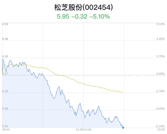 松芝股份002454,松芝股份（股票代码，002454）深度解析