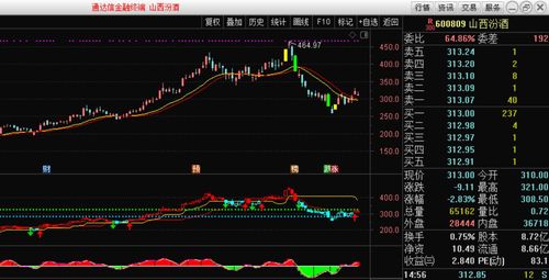 600827股票,深度解析，600827股票的前瞻性展望