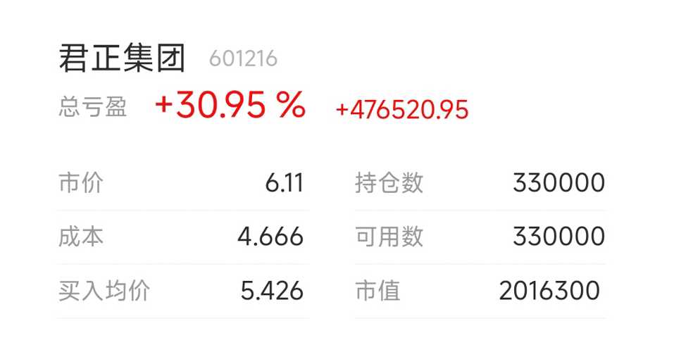 内蒙君正股票,内蒙君正股票，深度解析与前景展望