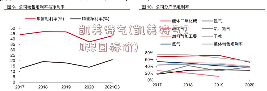 凯美特气股票,凯美特气股票，市场潜力与未来展望