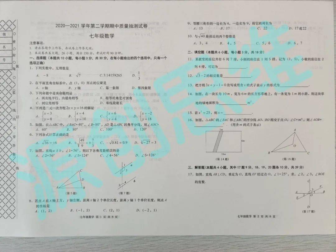 三肖必中三期资料|精选解释解析落实,揭秘三肖必中三期资料，精选解释解析与落实的真相