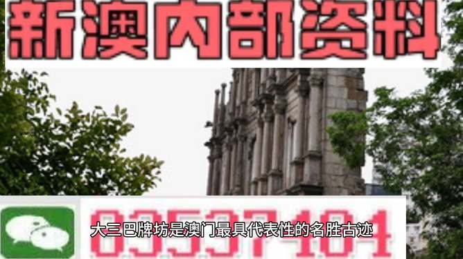新澳门内部免费资料精准大全|精选解释解析落实,关于新澳门内部免费资料精准大全的解析与落实——警惕违法犯罪风险