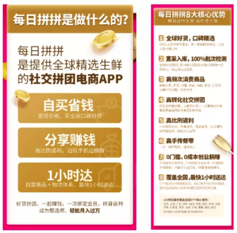 新奥天天免费资料大全正版优势|精选解释解析落实,新奥天天免费资料大全正版优势，精选解释解析落实