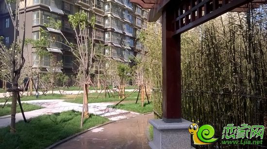 邯郸箭岭小区2016年最新消息,邯郸箭岭小区，2016年最新动态概览