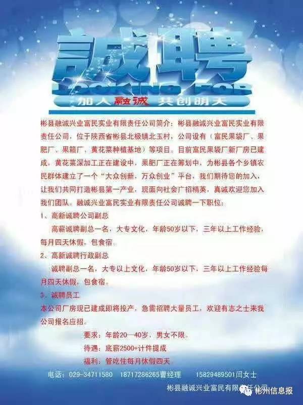 创业 第703页