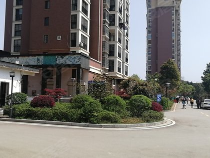 4949澳门今晚开奖结果,澳门彩票开奖结果分析——以今晚开奖的4949为例