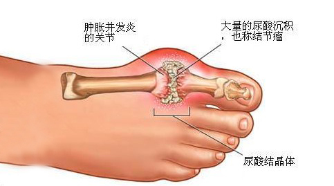 管家婆期期四肖四码中特管家,揭秘管家婆期期四肖四码中特管家之奥秘