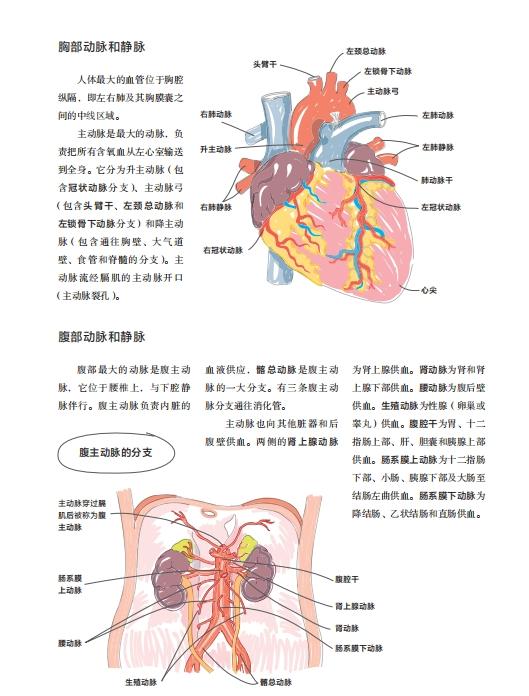 2025年澳门天天开好彩最新版,澳门彩票行业在近年来持续发展，随着科技的进步和人们对彩票的热情不断增长，澳门彩票行业不断创新和进步。到了2025年，澳门天天开好彩已经迎来了其最新版的辉煌时代。本文将探讨这一变化背后的原因，以及澳门彩票行业未来的发展趋势。