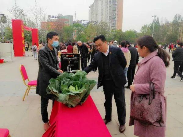 界首市邴集乡最新消息,界首市邴集乡最新消息，发展动态与变革步伐