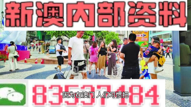 澳门正版资料免费精准|精选资料解析大全,澳门正版资料免费精准解析与精选资料解析大全