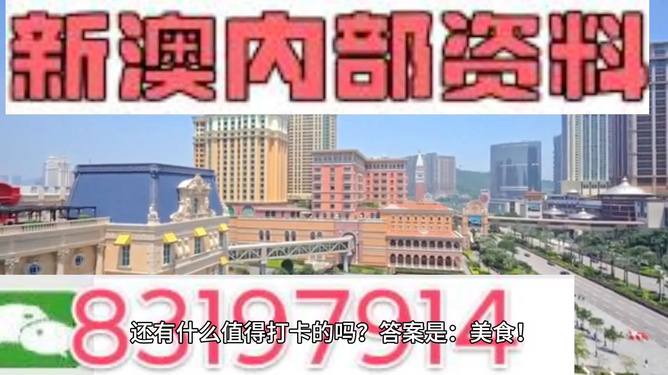 2025澳门天天开好彩大全免费,澳门彩票文化，探索2025年天天开好彩的奥秘与魅力