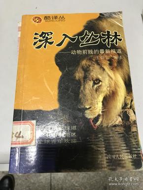 2025四不像正版最新版本,探索最新正版2025四不像游戏版本，深度解析与体验分享