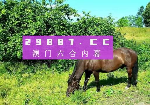 2025澳门天天开彩资料大全,澳门彩票资料大全，探索2025年澳门彩票的世界