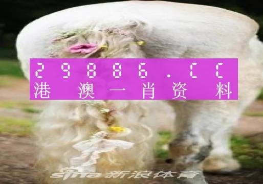 澳门内部资料免费公开2023年最新版,澳门内部资料免费公开2023年最新版，深度解读与探索