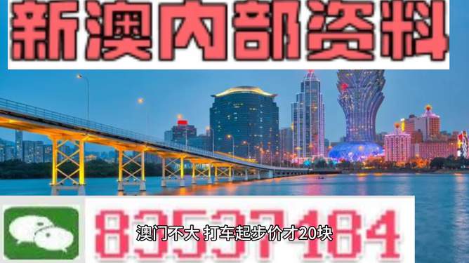 澳门精准资料期期精准每天更新,澳门精准资料期期精准，揭秘每日更新的秘密