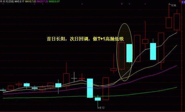 今晚澳门开奖现场直播,今晚澳门开奖现场直播，揭开神秘面纱下的激动时刻