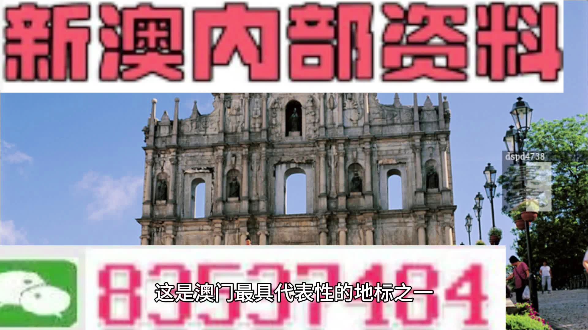 2025新澳资料免费大全一肖,探索未来，2025新澳资料免费大全一肖的独特魅力与机遇