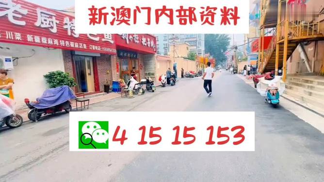 2004新奥门天天开好彩,新澳门2004年天天开好彩，繁荣与机遇的交汇点