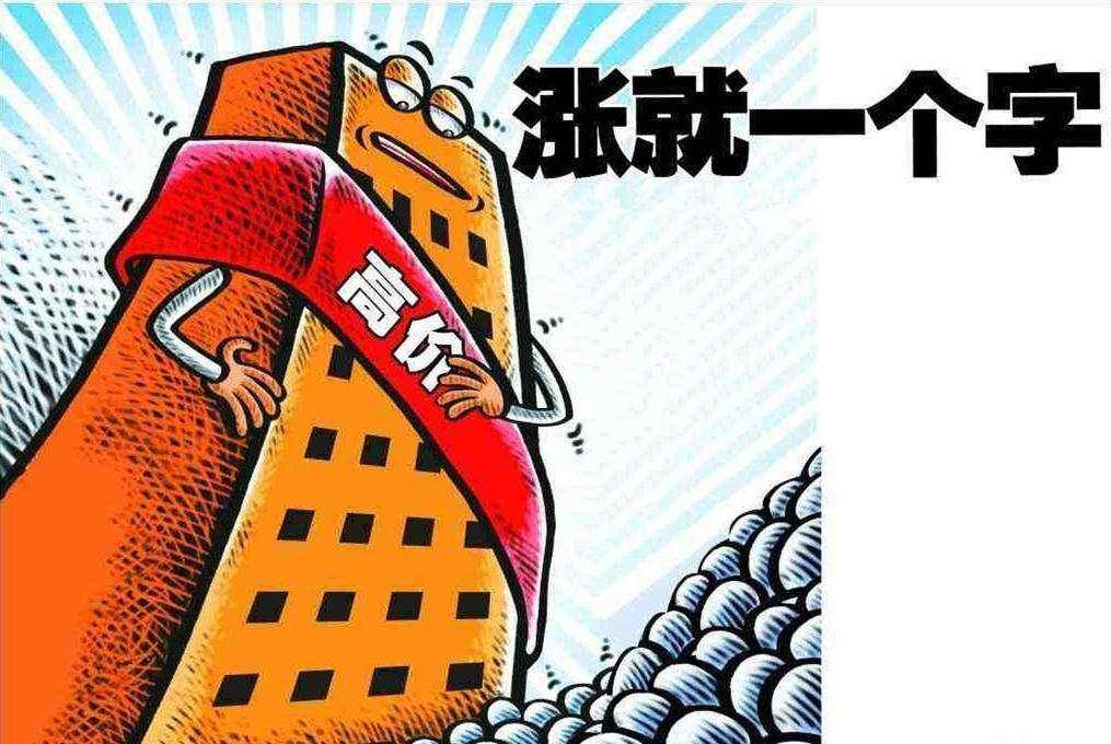 新澳门管家婆的一句话,新澳门管家婆的一句话，揭示智慧与力量的融合
