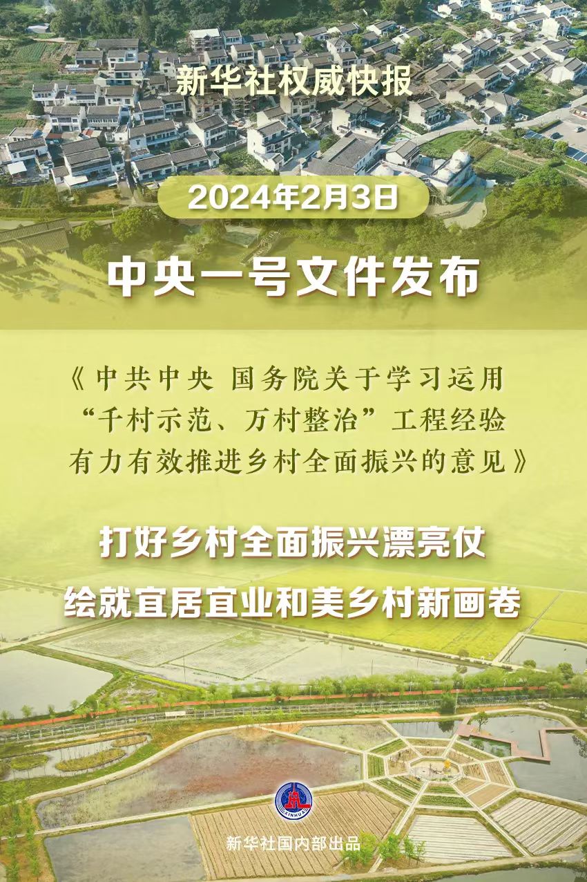 2025年7777788888新版跑狗图,探索未来跑狗图，揭秘新版跑狗图在2025年的独特魅力