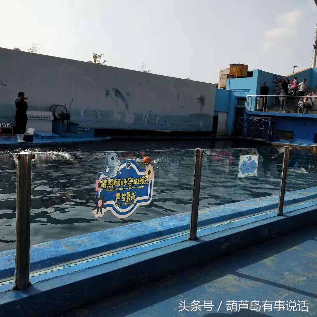 新澳资彩长期免费资料,新澳资彩长期免费资料，探索与解析