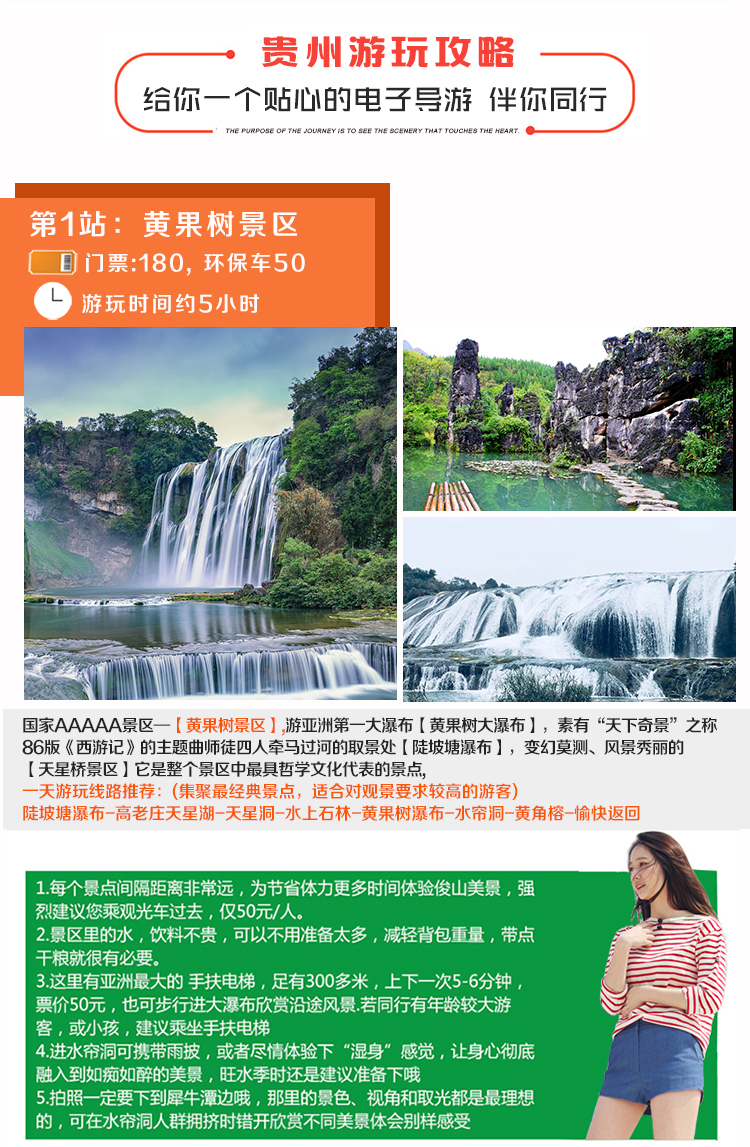 澳冂凤凰资料大全,澳冂凤凰资料大全，深度解读与探索