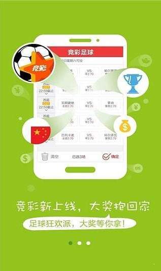 澳门天天开彩期期精准单双,澳门天天开彩期期精准单双，探索彩票背后的秘密