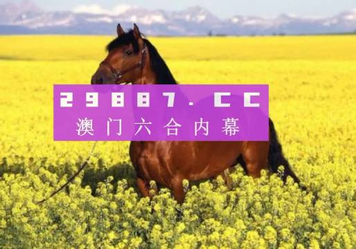 2025新澳门天天开好彩大全49,探索新澳门，2025年天天开好彩的49种可能