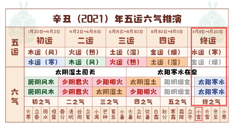 最准一肖100%准确使用方法,揭秘最准一肖，揭秘生肖预测准确率百分之百的使用方法