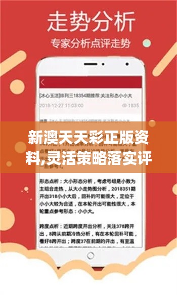 聚焦 第17页
