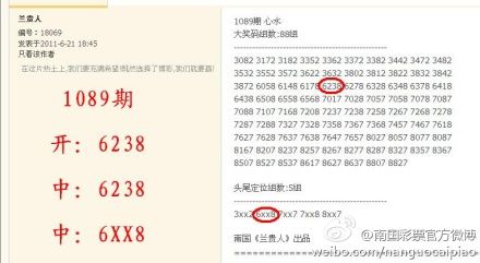 澳门今晚开什么,澳门今晚的开彩预测与彩票文化探讨