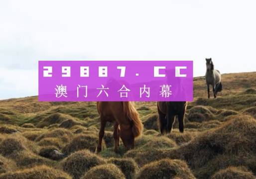 2025澳门今晚开奖记录,澳门今晚开奖记录，探索与期待