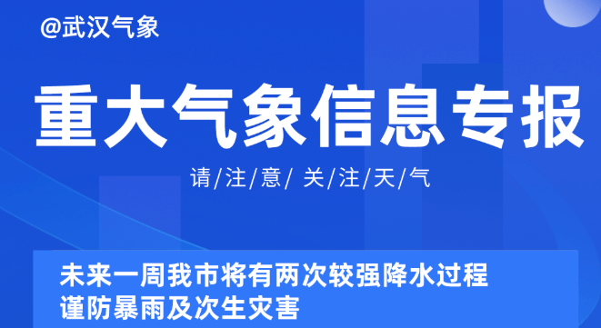 2025年新奥天天精准资料大全,探索未来，2025年新奥天天精准资料大全深度解析