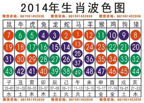 2025十二生肖49码表,揭秘十二生肖与数字世界的神秘联系，2025年十二生肖与数字49的码表解读